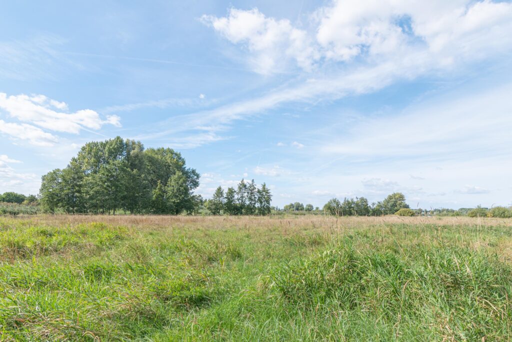 Hazenhof 40 – Foto 35