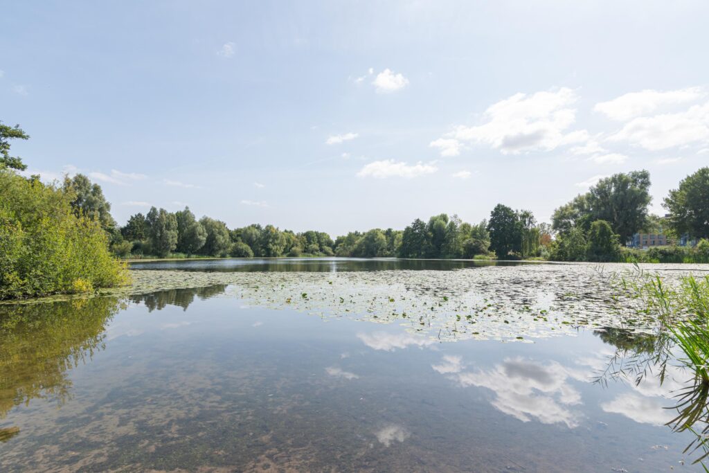 Haarspitveld 30 – Foto 31