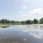 Haarspitveld 30 – Foto 31