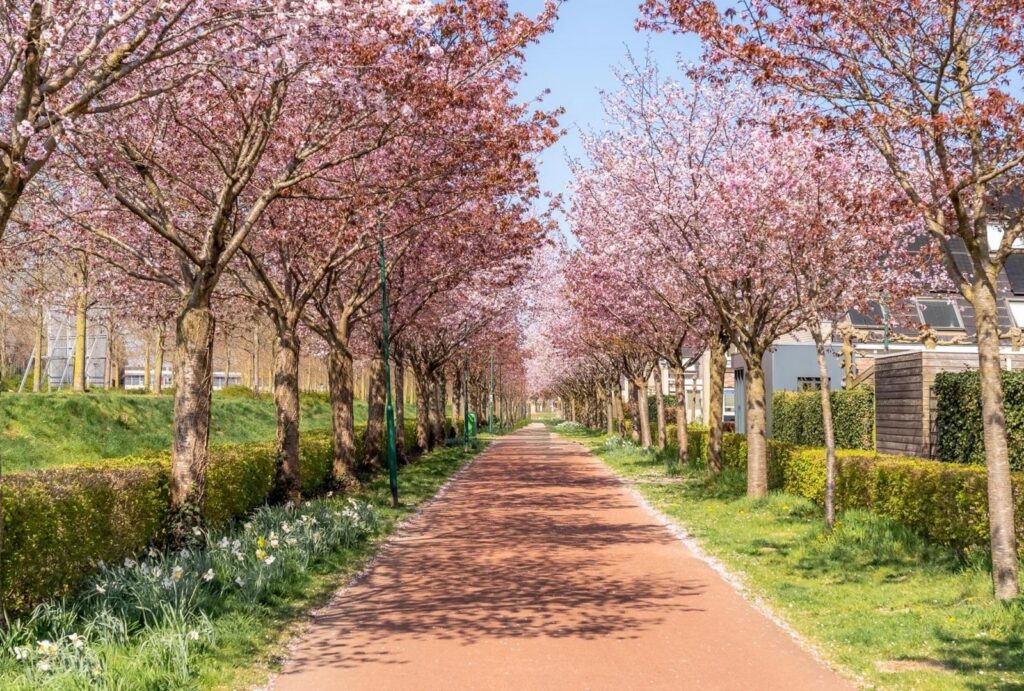 Paleismuur 70 – Foto 54