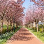 Paleismuur 70 – Foto 54