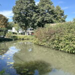 Boomstede 431 – Foto 16