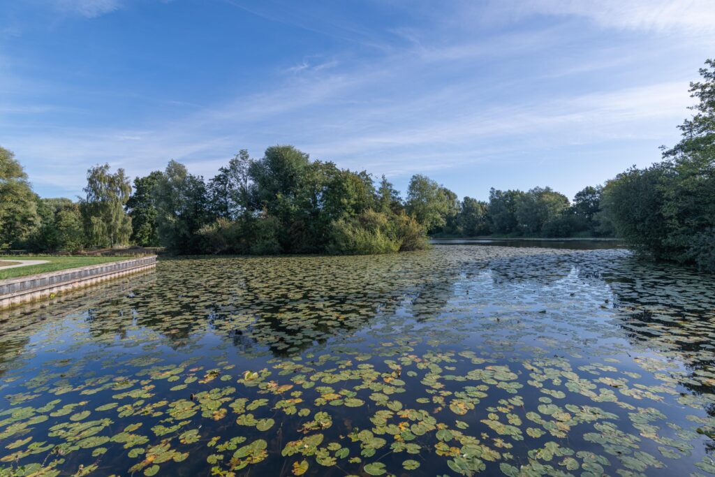 Vuurvlinderberm 5 – Foto 28
