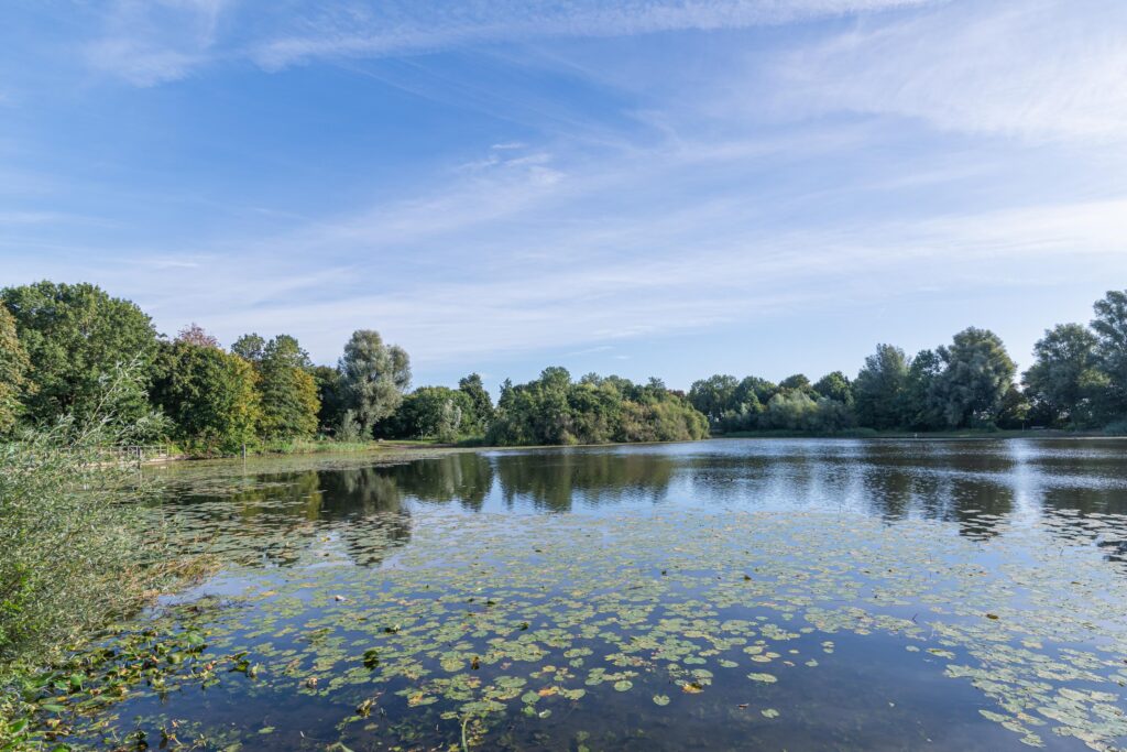 Vuurvlinderberm 5 – Foto 26