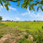 Hoevesteinse Lint 4 – Foto 31