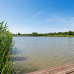 Hoevesteinse Lint 4 – Foto 35