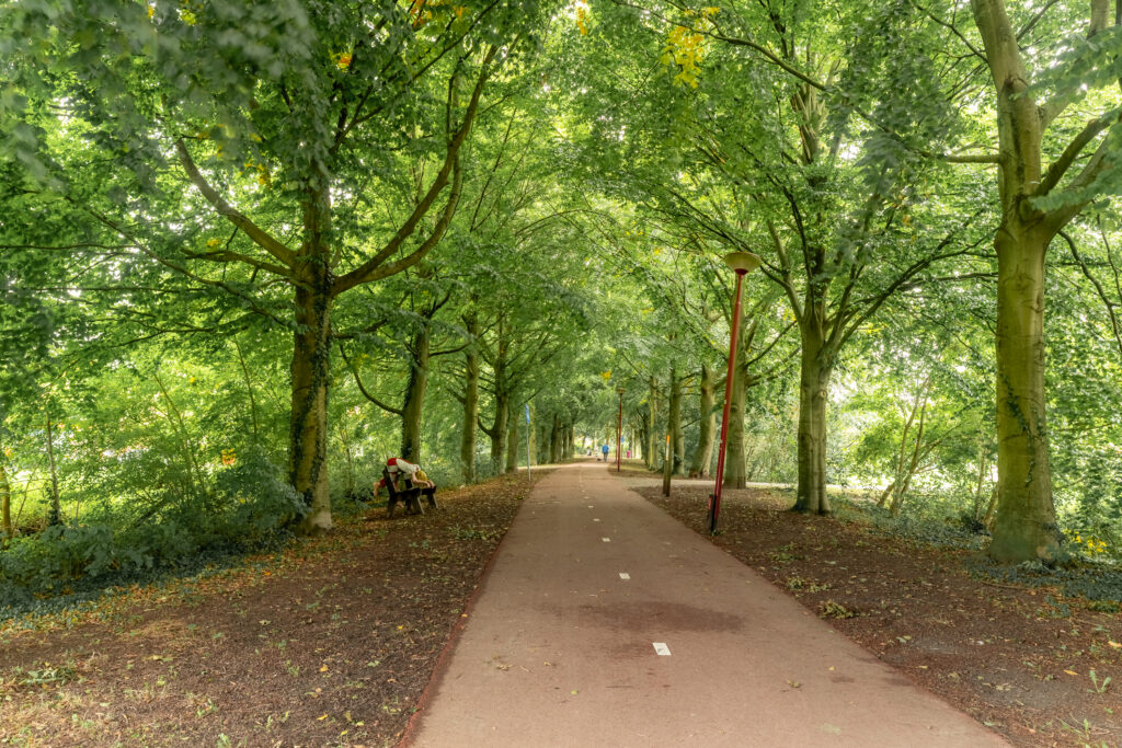 Muiderschans 269 – Foto 29