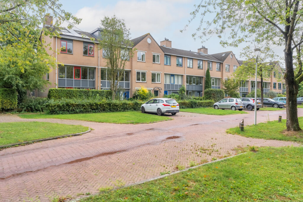 Distelvlinderberm 56 – Hoofdfoto