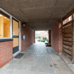 Zebraspoor 455 – Foto 2