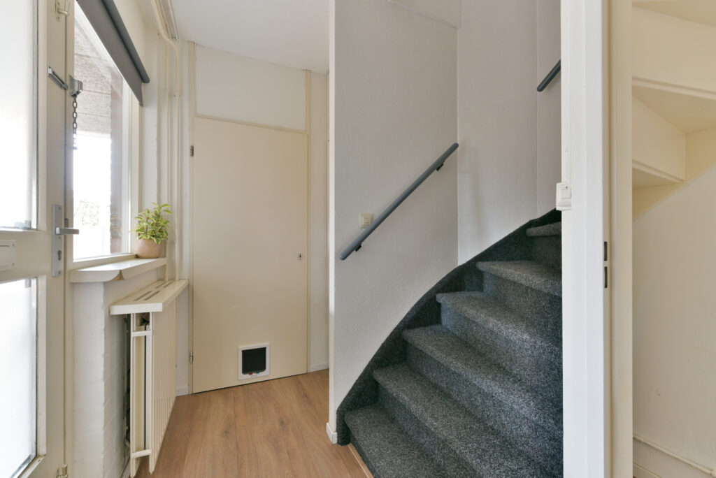 Zebraspoor 455 – Foto 3