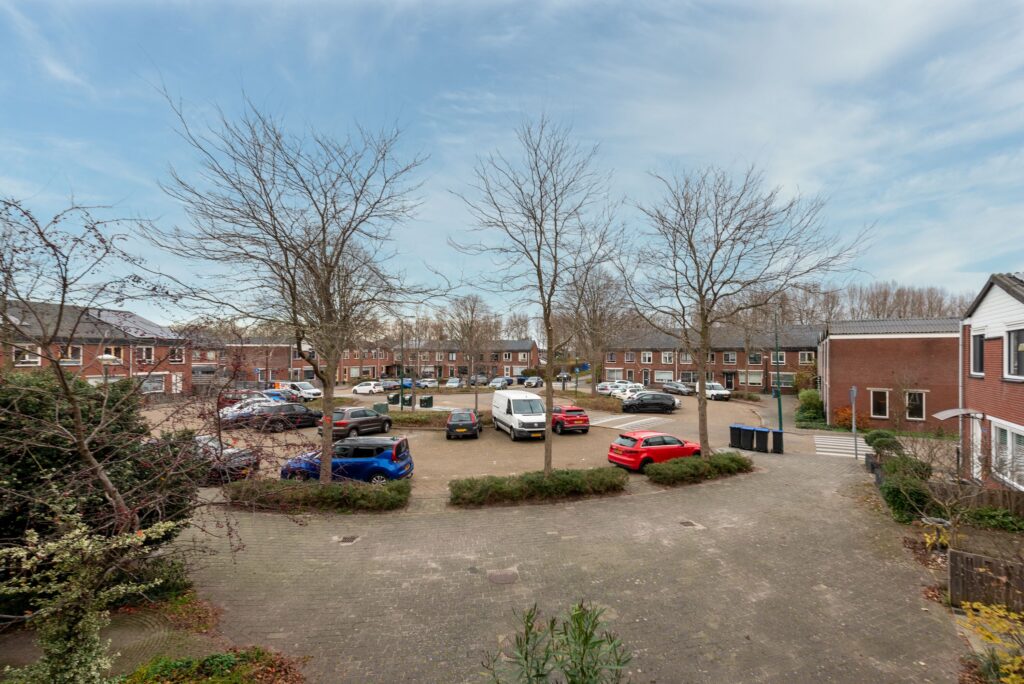 Zebraspoor 455 – Foto 12