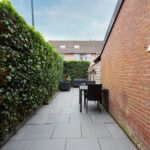 Zebraspoor 455 – Foto 28