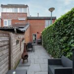 Zebraspoor 455 – Foto