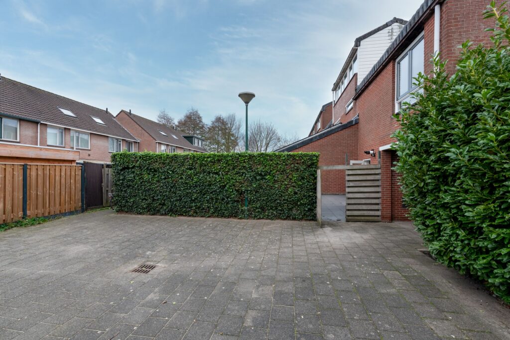 Zebraspoor 455 – Foto 31