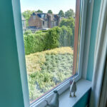 Dopheide 8 – Foto 25