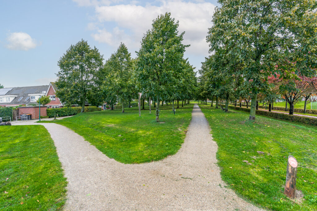 Bladmos 64 – Foto 42