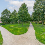 Bladmos 64 – Foto 42