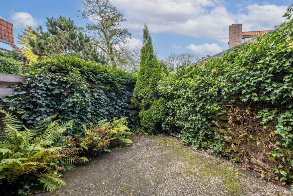 Zwaluw 24 – Foto 37