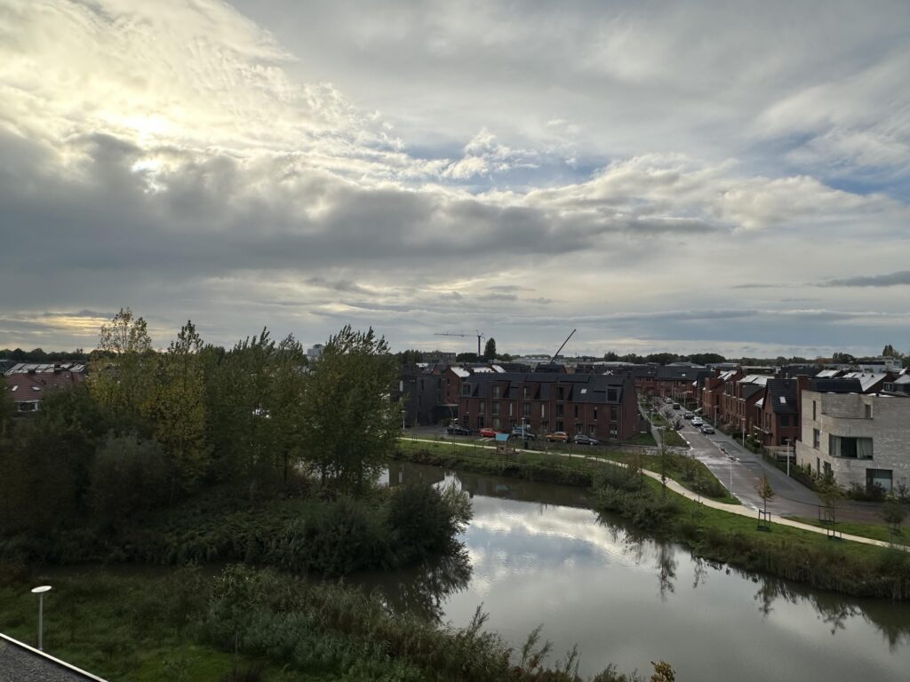 Wilde rucolavliet 55 – Foto 12
