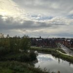 Wilde rucolavliet 55 – Foto 12