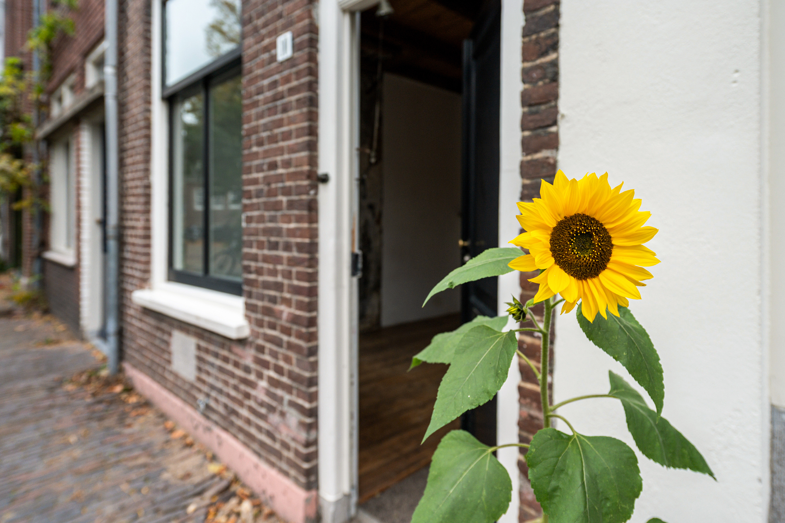 Geertekerkhof 10 – Foto 13