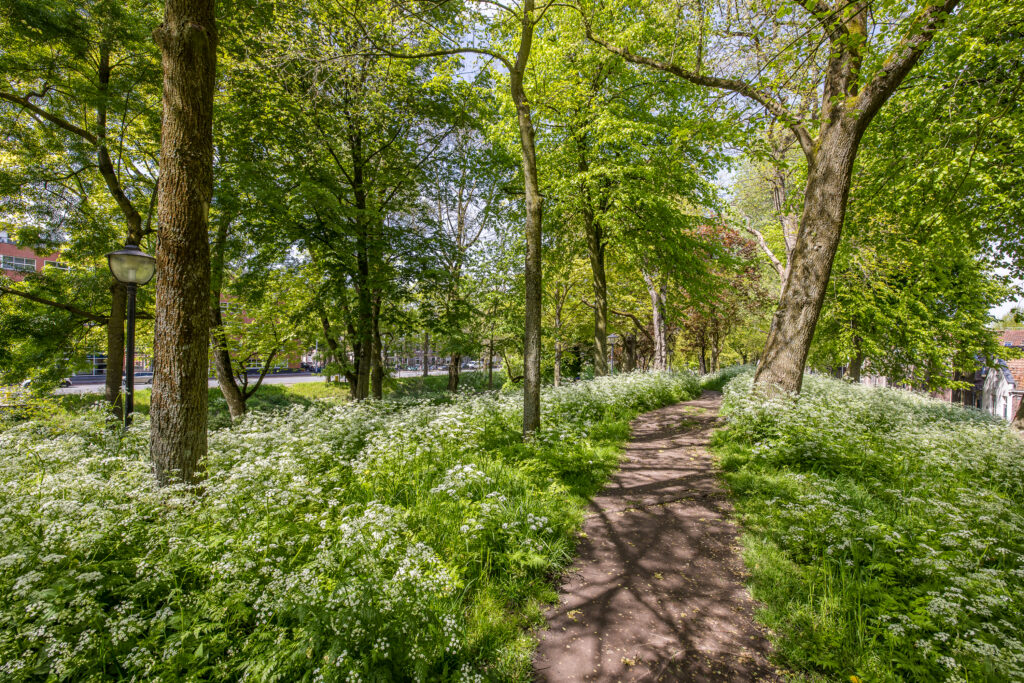 Geertekerkhof 10 – Foto 15