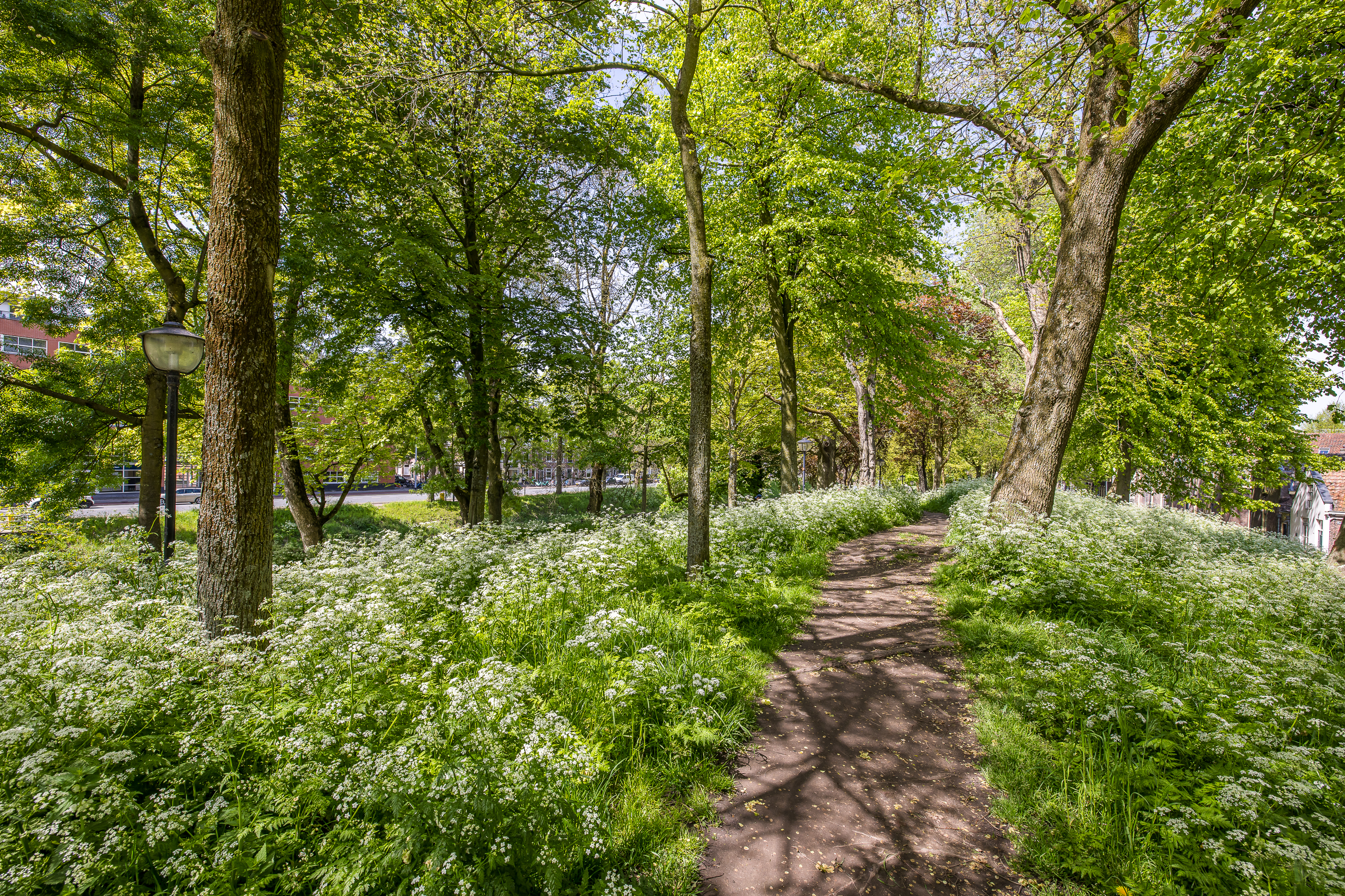 Geertekerkhof 10 – Foto 15