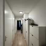 Wilde rucolavliet 29 – Foto