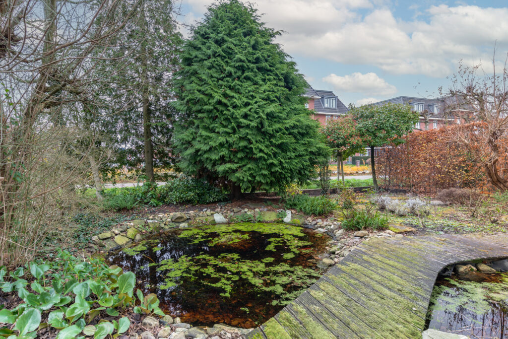 Bachplein 12 – Foto 42