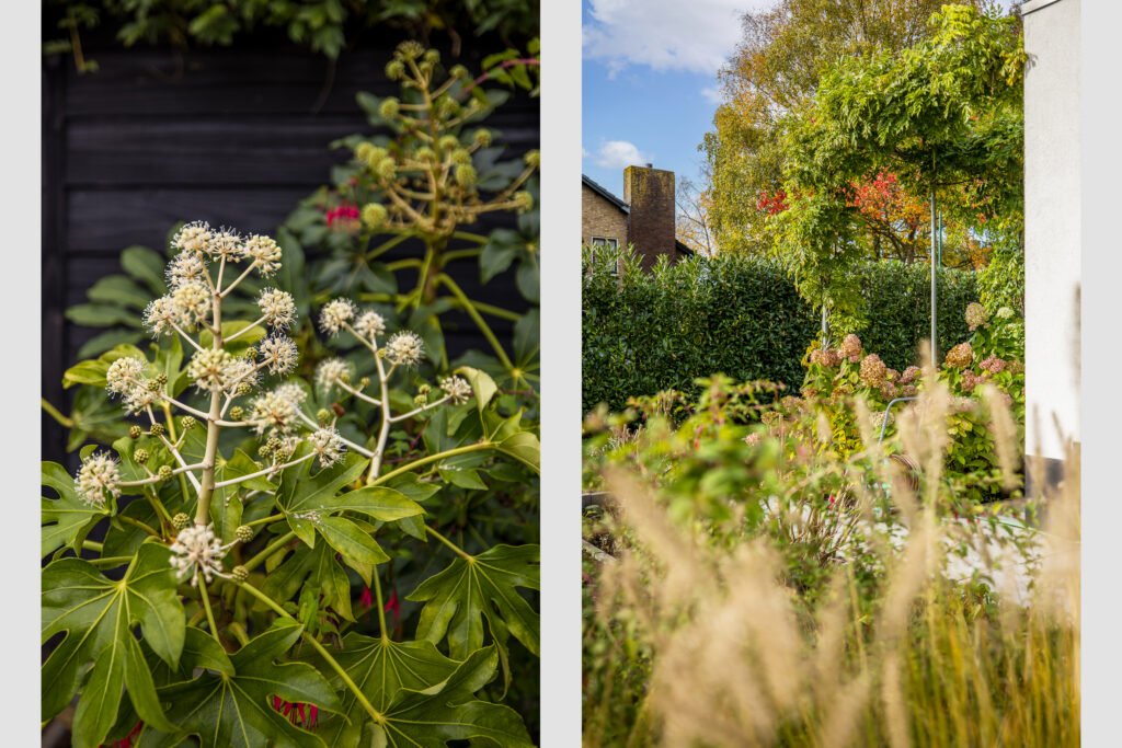 Koningin Emmaweg 15 – Foto 47