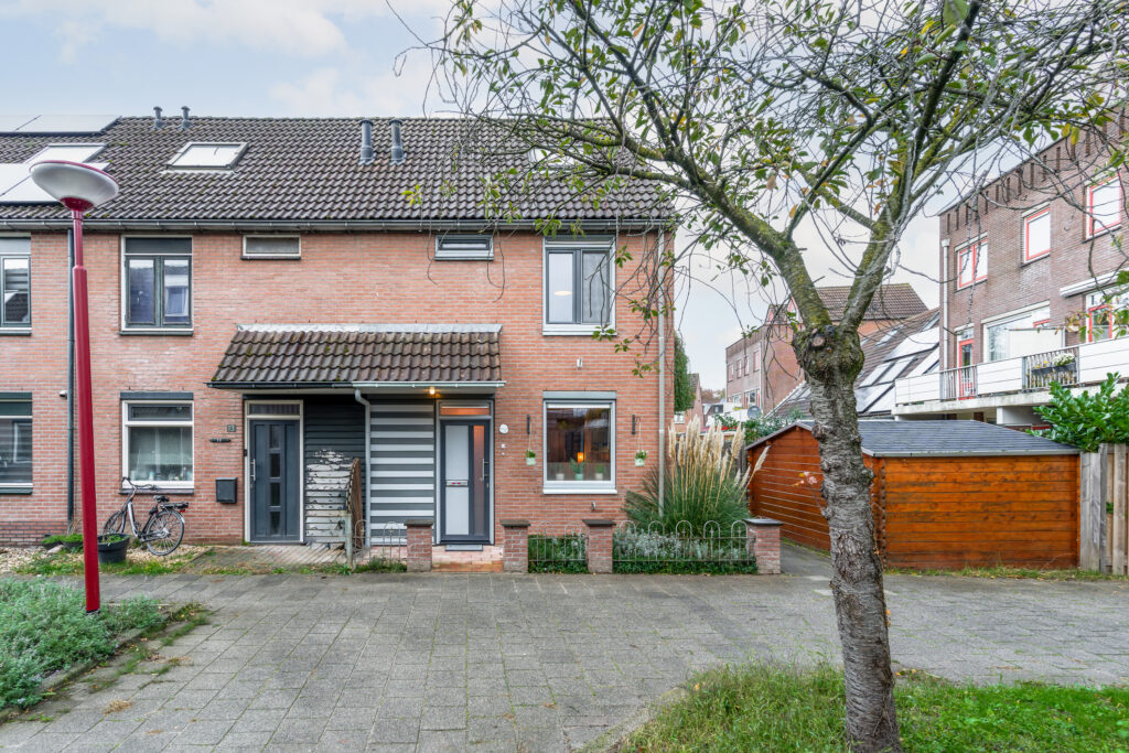 Koperfazant 15 – Foto