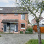 Koperfazant 15 – Foto