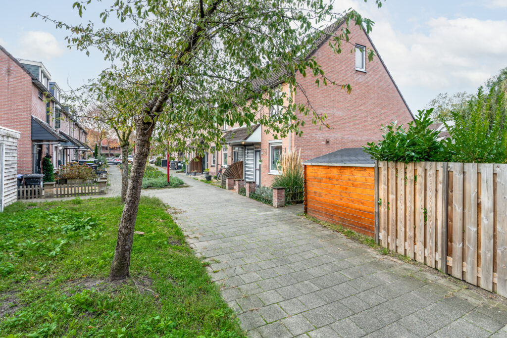 Koperfazant 15 – Foto 2