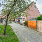 Koperfazant 15 – Foto 2