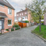 Koperfazant 15 – Foto 19