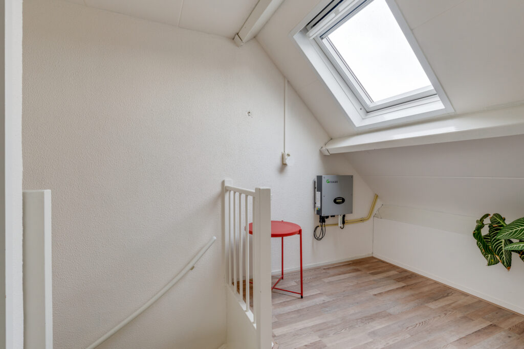 Koperfazant 15 – Foto 28