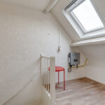 Koperfazant 15 – Foto 28