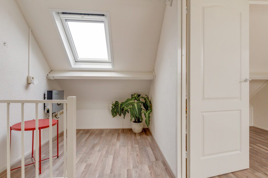 Koperfazant 15 – Foto 30