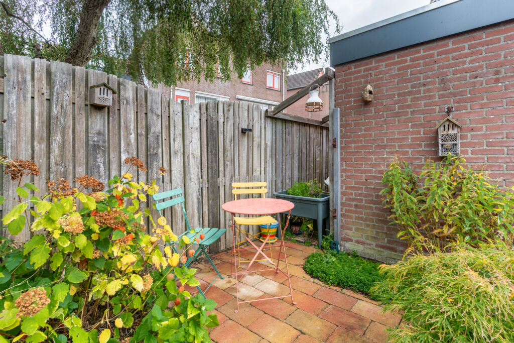 Koperfazant 15 – Foto 42