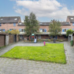 Koperfazant 15 – Foto 45