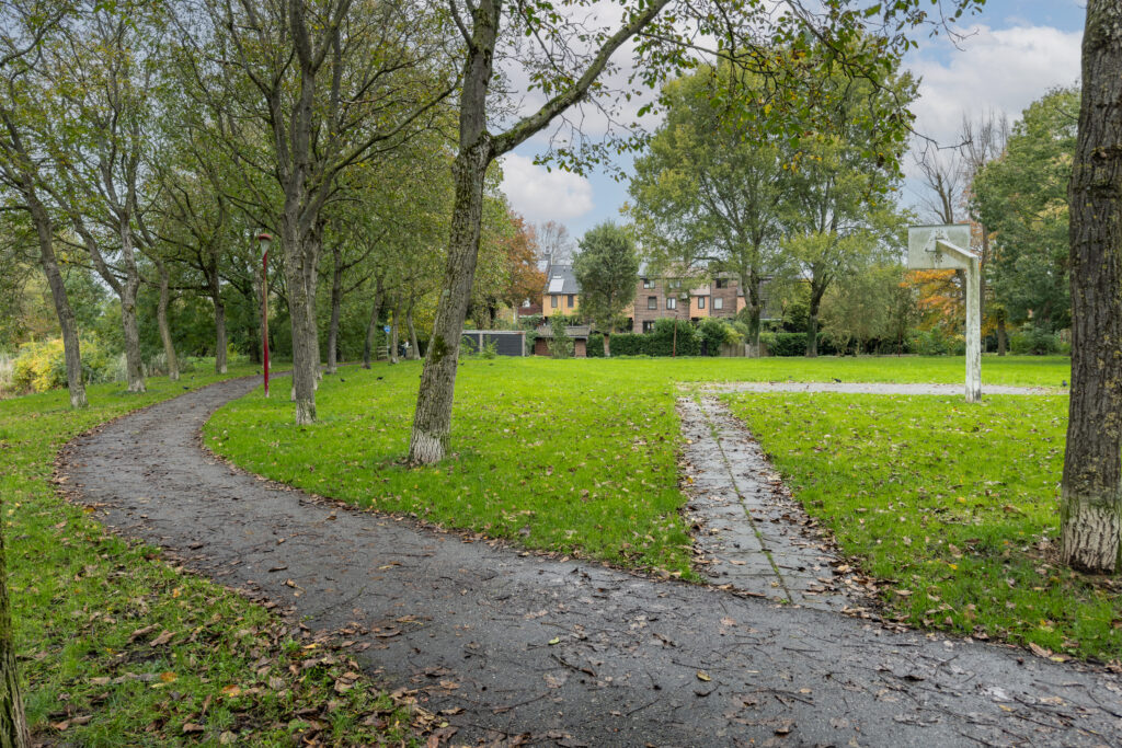 Koperfazant 15 – Foto 47