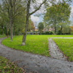 Koperfazant 15 – Foto 47