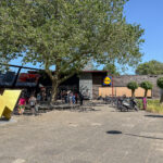 Koperfazant 15 – Foto 46