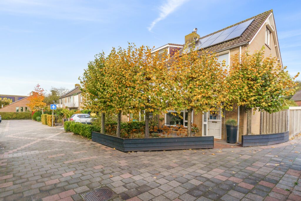 Masada 4 – Foto 34