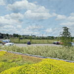 Moerashoeve 81 – Foto 27