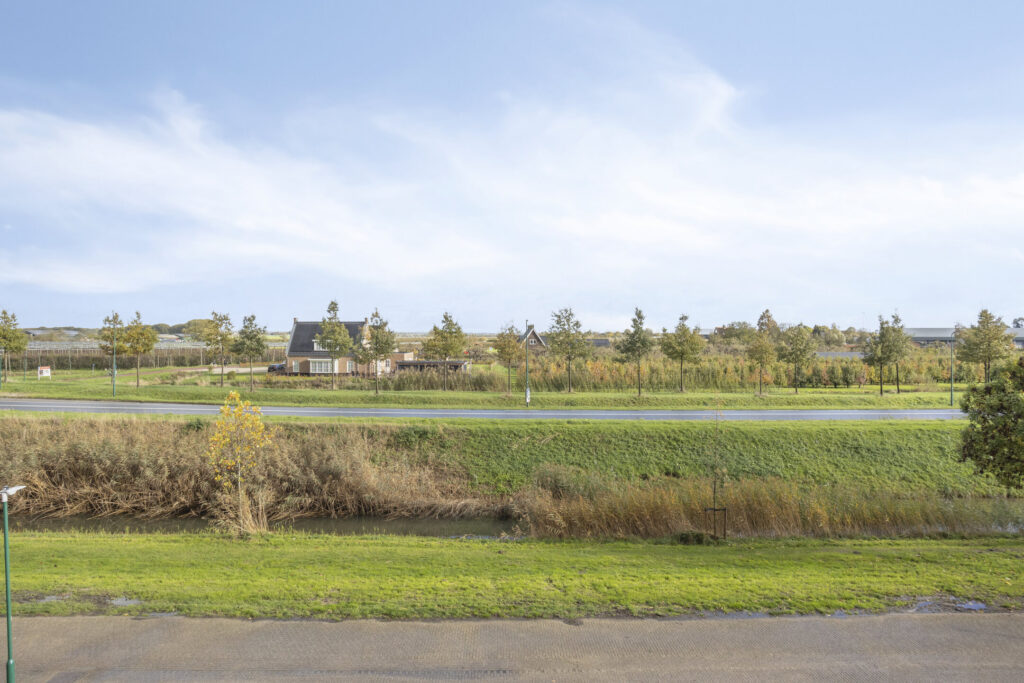 Zilvermos 30 – Foto 42