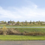 Zilvermos 30 – Foto 6