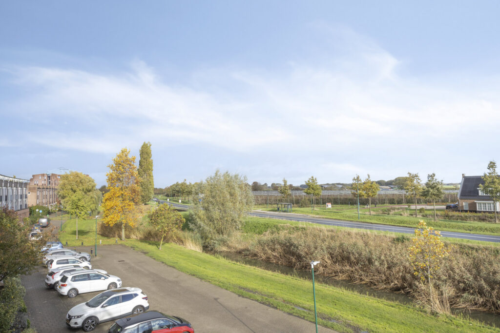 Zilvermos 30 – Foto 44