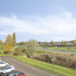 Zilvermos 30 – Foto