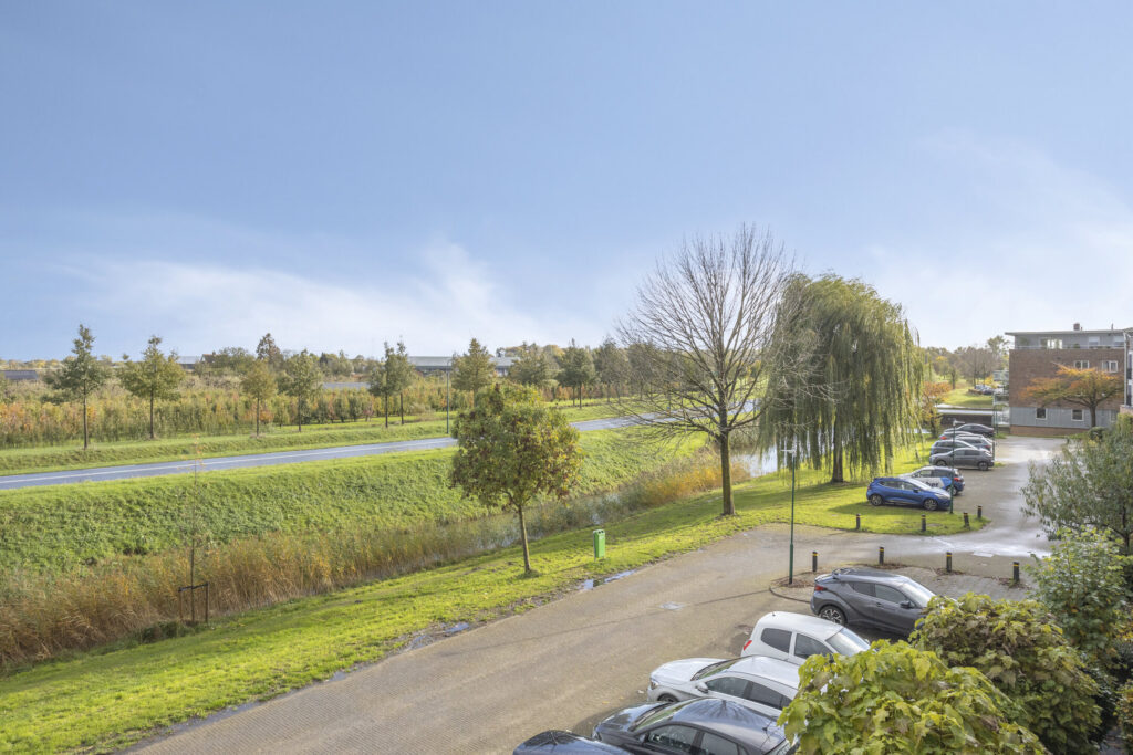 Zilvermos 30 – Foto 45